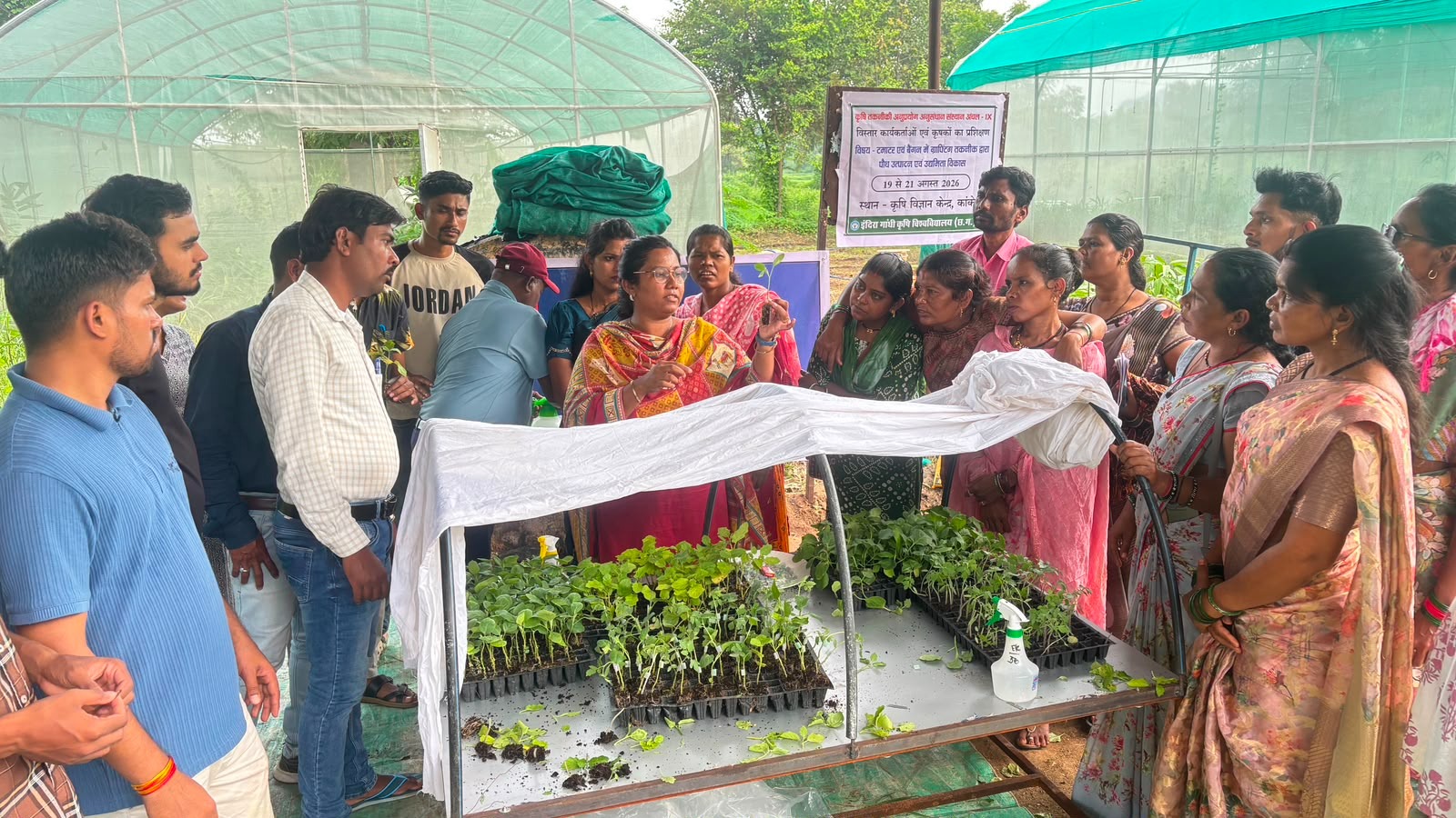 सब्जियों के ग्राफ्टेड पौध उत्पादन के गुर सीख रहे किसान